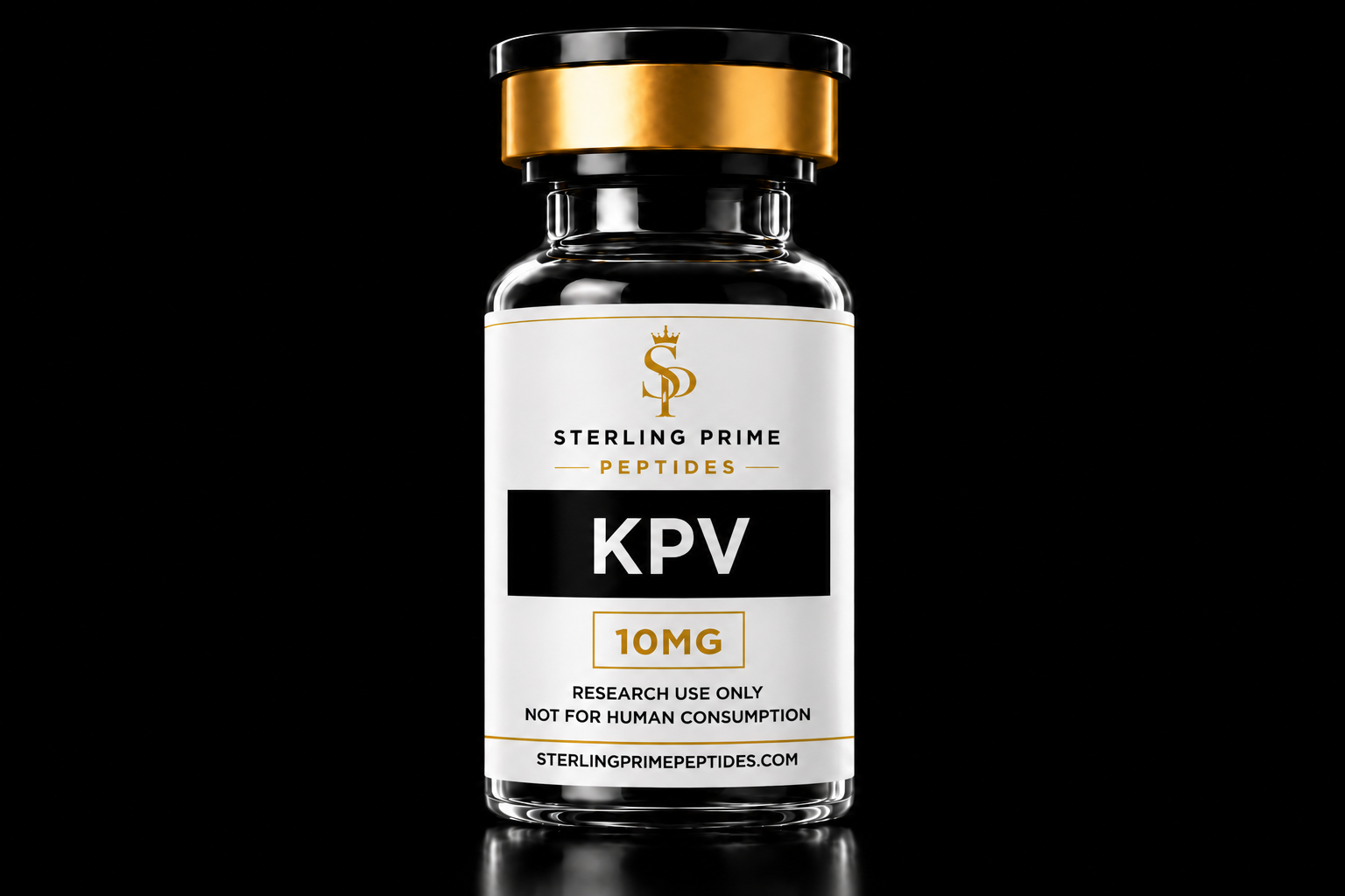 KPV 10MG